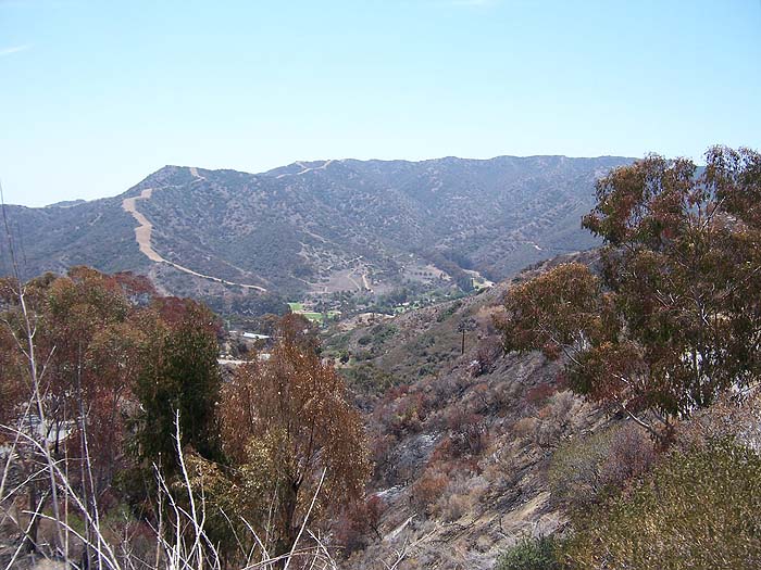 A canyon above Avalon.