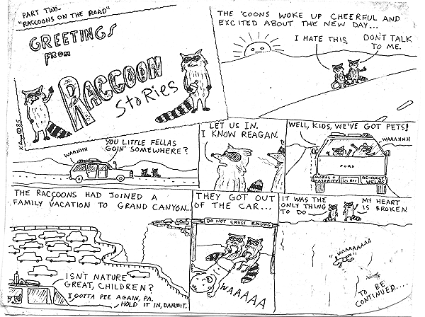 The raccoons on the road, Part 2