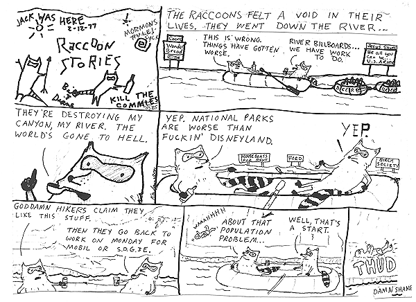 The raccoons on the road, Part 3