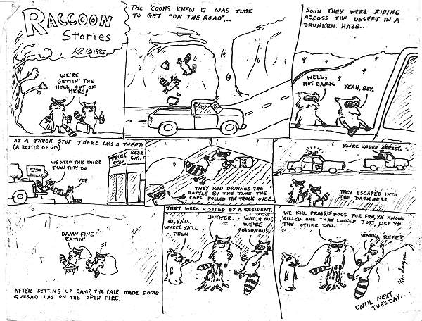 The raccoons on the road