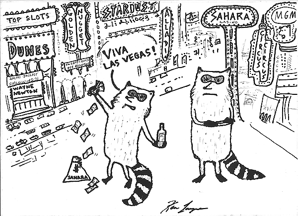 The raccoons in Vegas, Part 2