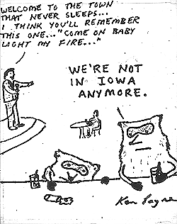 Raccoons drunk in Vegas