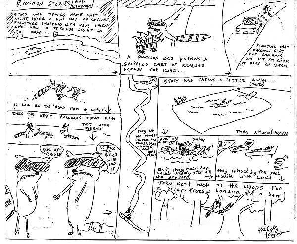 The first ever Raccoon Stories